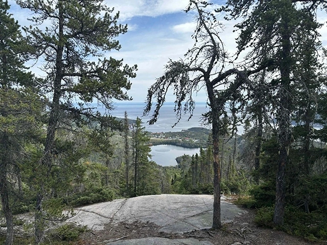 Beluga trail 2025 à Tadoussac