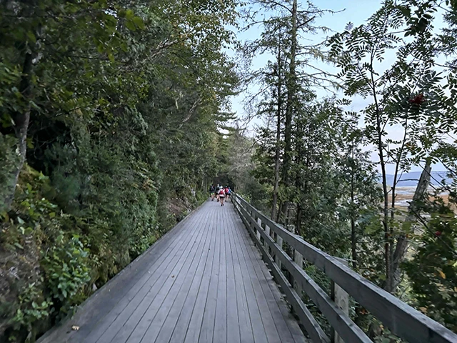 Beluga trail 2025 à Tadoussac