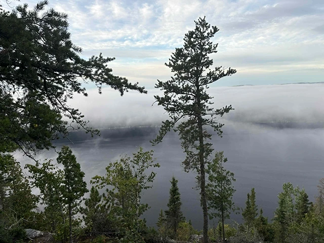 Beluga trail 2025 à Tadoussac