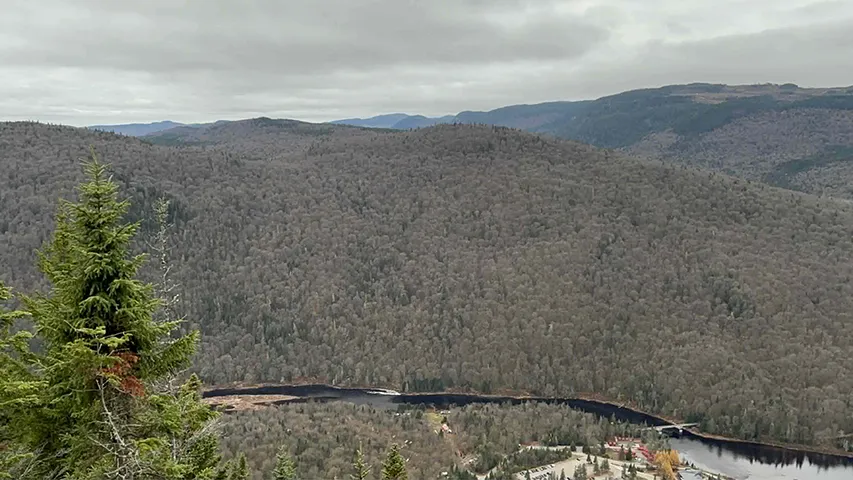 Rendu en haut des nuages dans le Trail du Grand Duc 2025 - Parc de la Jacques Cartier